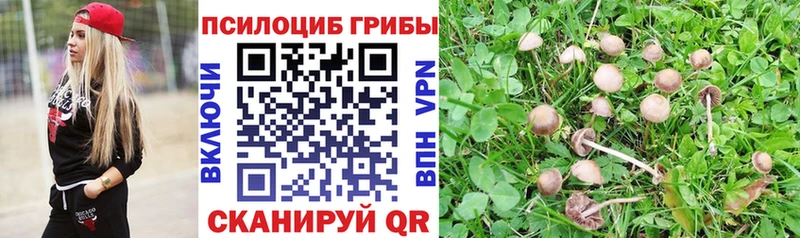 Псилоцибиновые грибы GOLDEN TEACHER Иноземцево